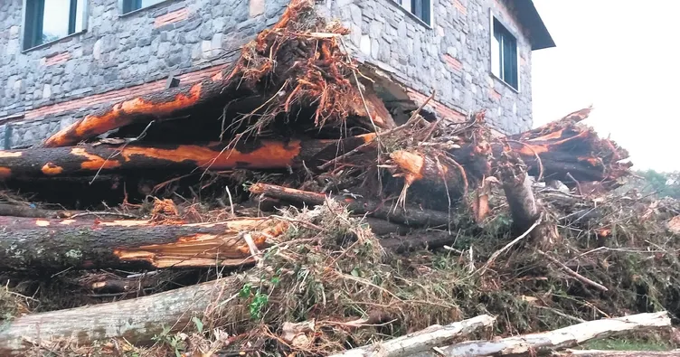 Göz göre göre o bungalovlar yapıldı