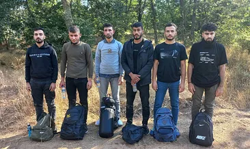 Yurt dışına kaçacaklardı! Edirne’de 16 kaçak göçmen yakalandı