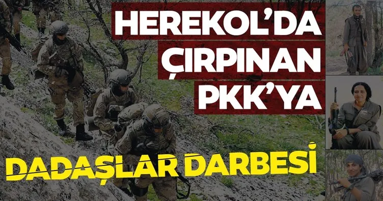 Herekol’da çırpınan PKK’ya dadaşlar darbesi