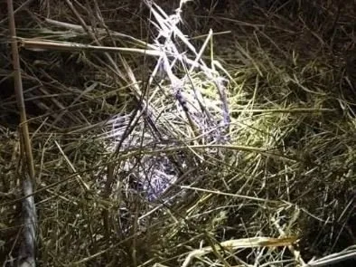 Yarı çıplak parçalara ayrılmış halde bulunmuştu: Kos Adası’ndaki cinayette kan donduran detaylar: Ölüm evi görüntülendi