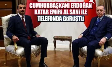 Cumhurbaşkanı Erdoğan- El Sani ile görüştü