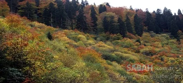 Karadeniz’in en güzel 10 doğa harikası...