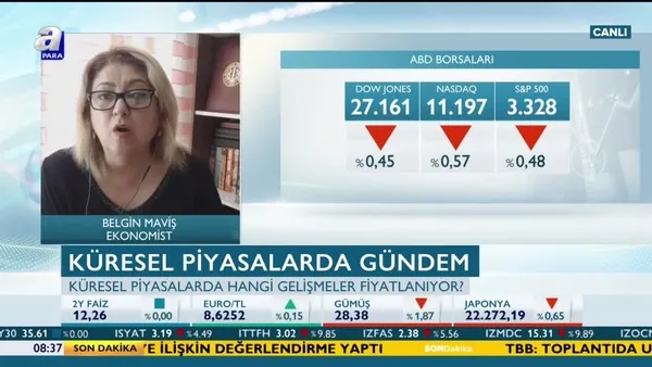 Maviş: Altın piyasalara alternatif olacak