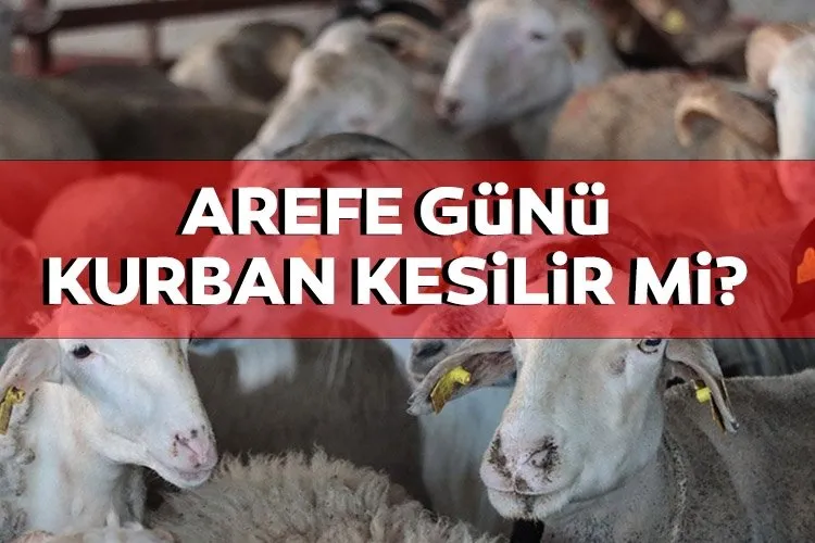 Arefe günü kurban kesilir mi, kesilmez mi? Diyanet'e göre Arefe günü kesilen kurban kabul olur mu? İşte kurban kesim vakitleri