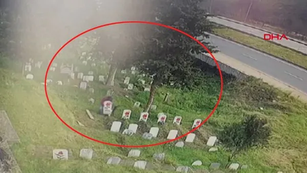 Trabzon'da mezarlıktaki akılalmaz olay kamerada