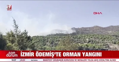 İzmir Ödemiş’te orman yangını! | Video