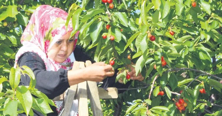 Üreticiye nakit avans imkânı