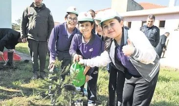 Binlerce fidan toprakla buluştu #yalova