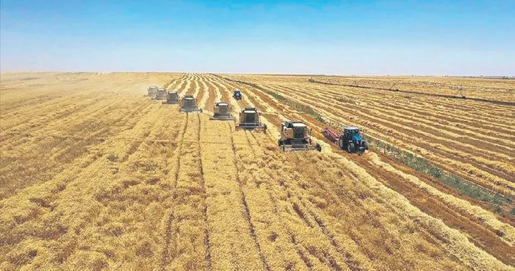 İklim değişikliğine karşı bozkırda sürdürülebilir tarım stratejisi