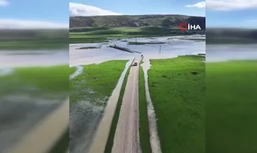 Muş’ta şiddetli yağış sonrası köy sular altında kaldı
