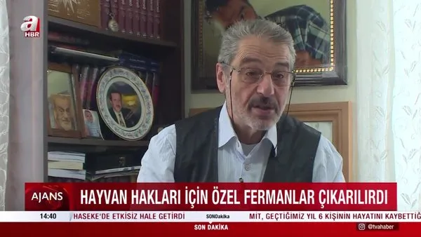 Osmanlı’da hayvan hakları! Sadık Albayrak anlattı: Dünya halen buna ulaşamadı | Video