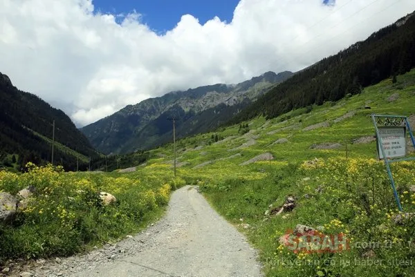 O bölgede dev turizm merkezi oluşturuluyor! 11 yeni 'Ayder' bulundu!