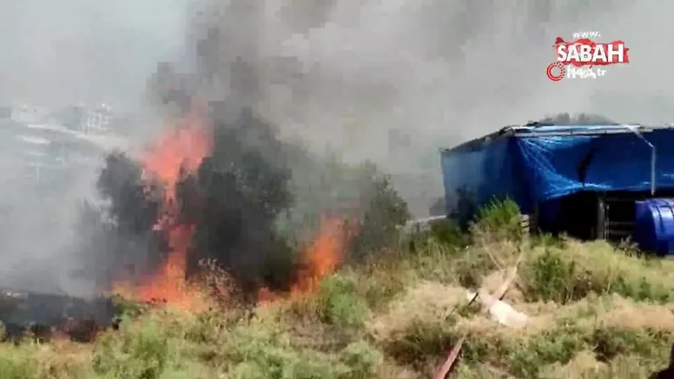 Kuşadası’nda korkutan yangın | Video