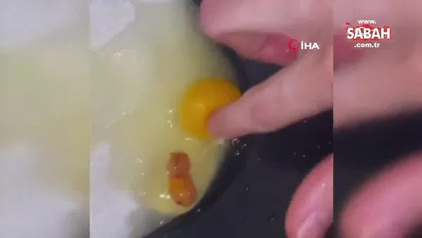 Marketten aldığı yumurtadan civciv embriyosu çıktı | Video