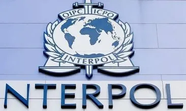 Kırıkkale’de İnterpol operasyonu: Avusturya’da aranan suçlu yakalandı #kirikkale