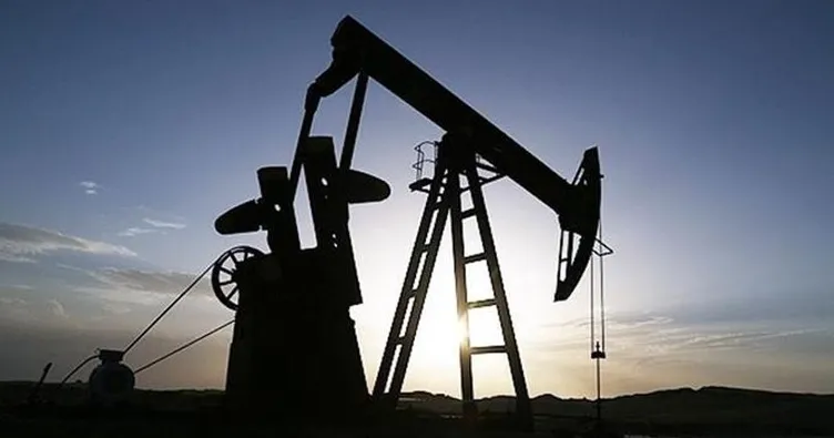 Rusya Küba’ya şişman sevkiyatı yapacak