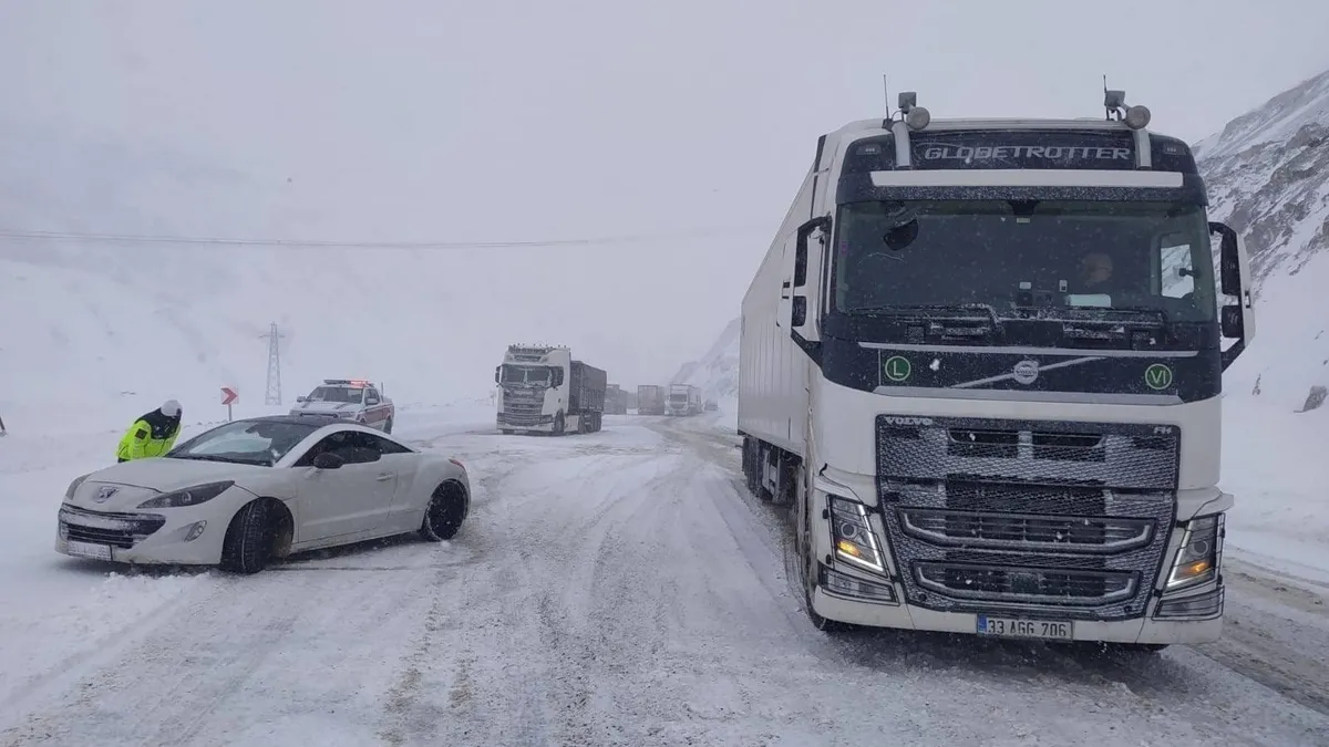 Doğu Anadolu’da Sibirya soğukları hayatı dondurdu Doğu Anadolu’da Sibirya soğukları hayatı dondurdu