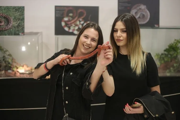 En zehirli yılanlar Zagreb’de sergilendi