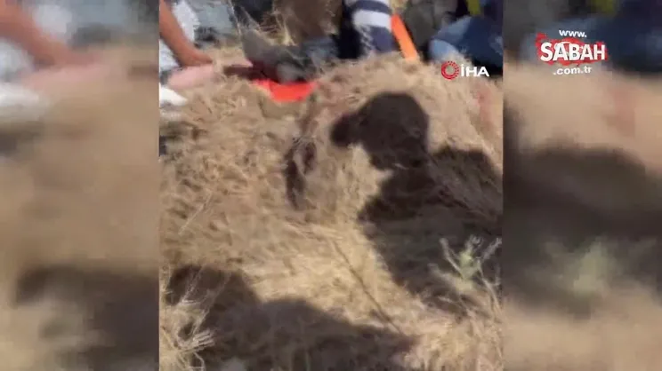 Kayseri'de feci kaza: 3'ü ağır 7 yaralı | Video