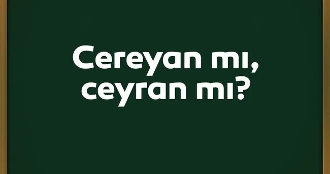 Cereyan Nasil Yazilir Ceryan Mi Cereyan Mi Tdk Kultur Sanat Haberleri