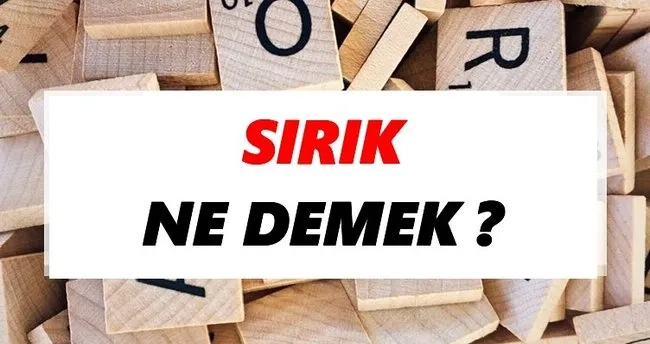 Sırık Ne Demek? TDK’ya Göre Sırık Sözlük Anlamı Nedir?