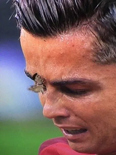 Ronaldo’nun yüzüne konan güve olay oldu