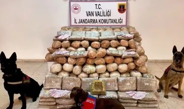 Van’da düzenlenen operasyonda 333 kilogram skunk ele geçirildi #van