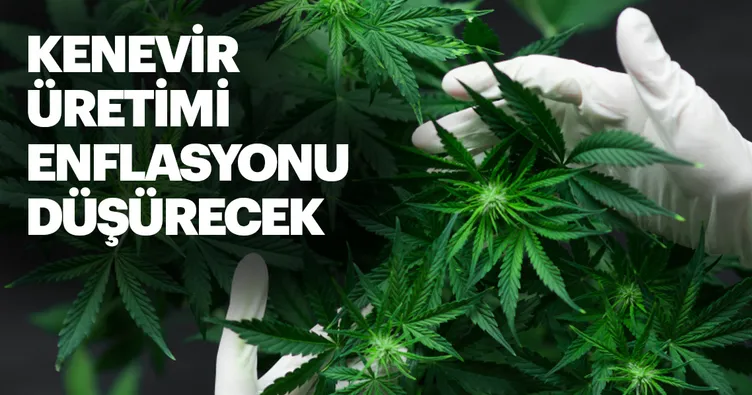 Kenevir üretimi enflasyonu düşürecek
