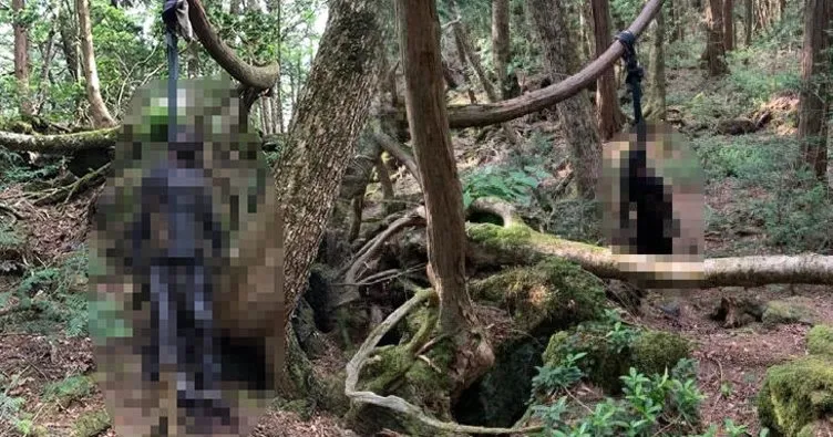 Japonya’daki intihar ormanında intihar vakası!