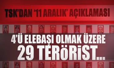 TSK’dan flaş açıklama: 4’ü elebaşı olmak üzere 29 terörist öldürüldü