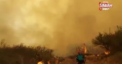 Arjantin’de çıkan orman yangınlarından 2 kişi öldü | Video
