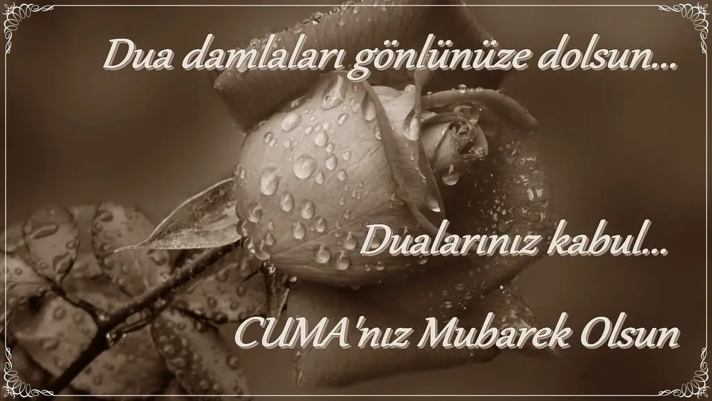 42 Guzel Sozlu Sabah Mesajlari Resimler