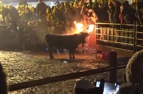 Böyle bir vahÅet görülmedi... Diri diri yaktılar...