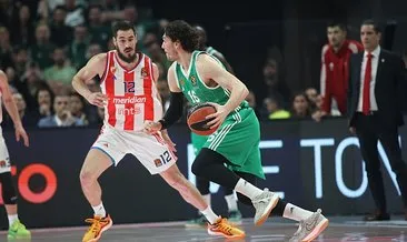 Panathinaikos, Cedi Osman ile uzattı!
