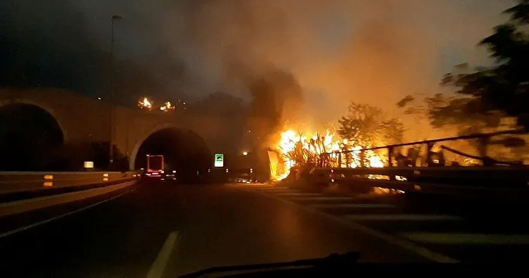 İtalya’daki orman yangınlarında 4 kişi hayatını kaybetti