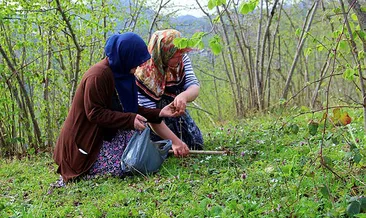 Köylülerin yaz hazırlıkları