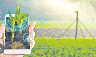 Tarladan şehre taşımada 5 kritik formül