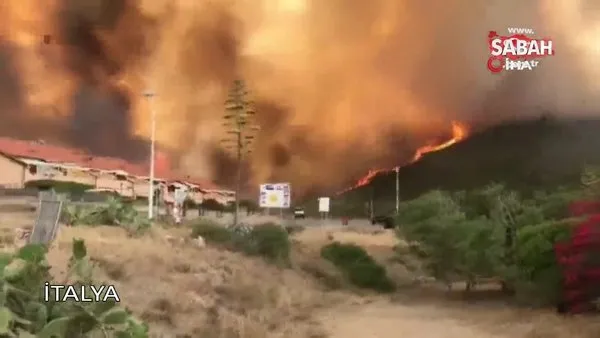 Dünya genelinde çıkan yangınlarda milyonlarca hektar ormanlık alan yandı | Video