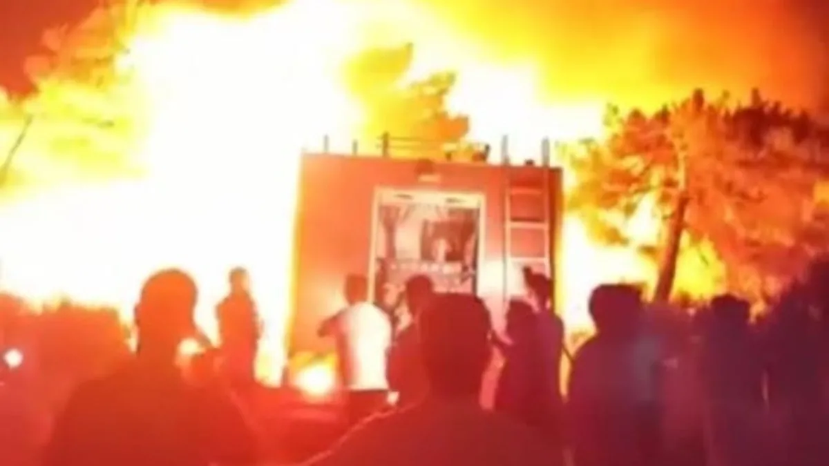 Hatay'da ormanlık alanda yangın! Ekiplerin müdahalesi sürüyor