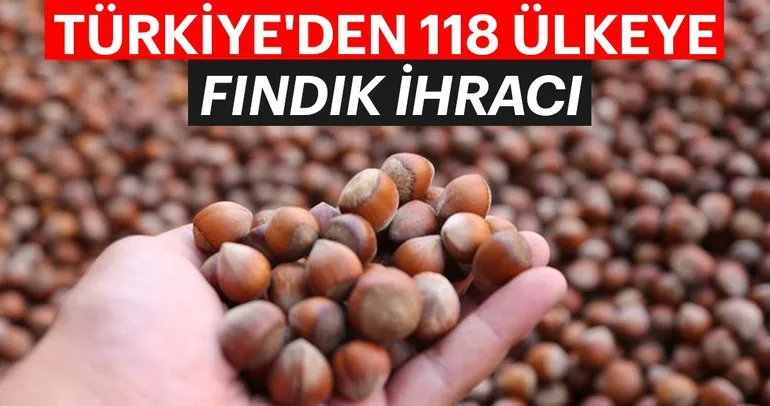 Türkiye’den 118 ülkeye fındık ihracı