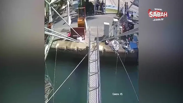Kurt köpeğinin polislere saldırı anının görüntüleri ortaya çıktı