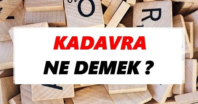 Kadavra Ne Demek? TDK’ya Göre Kadavra Sözlük Anlamı Nedir?