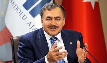 Veysel Eroğlu, Irak Özel Temsilcisi oldu