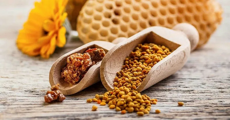 propolis nedir faydalari nelerdir