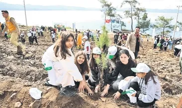 Yangının izleri siliniyor! #mugla