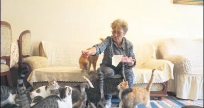 80 kedisiyle birlikte kiralık ev arıyor