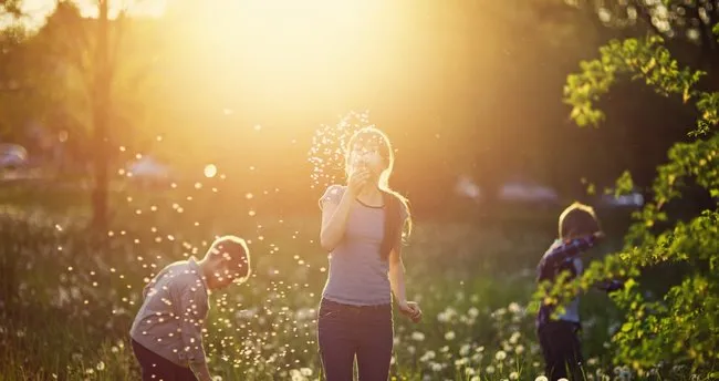 Ari Poleni Kilo Aldirir Mi Cocuklarda Nasil Kullanilir Ari Poleni Alerjisi Belirtileri Nelerdir Son Dakika Haberler