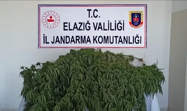 Jandarma’dan zehir tacirlerine operasyon