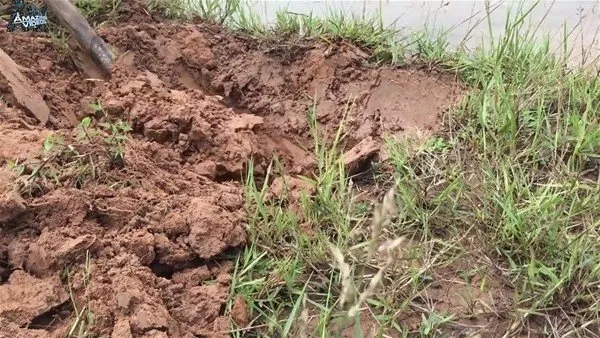 Birbirinden ilginç balık avlama yöntemleri