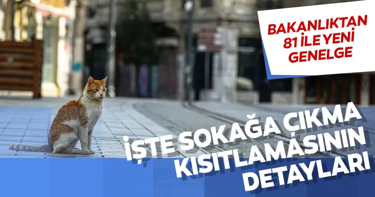 Son dakika: İçişleri Bakanlığı'ndan “Sokağa Çıkma Kısıtlaması Genelgesi